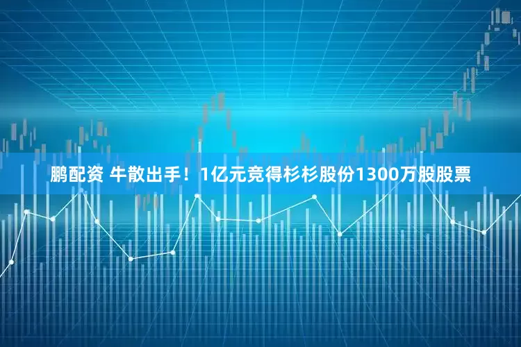 鹏配资 牛散出手！1亿元竞得杉杉股份1300万股股票