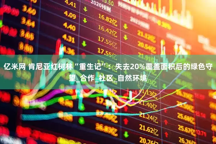 亿米网 肯尼亚红树林“重生记”：失去20%覆盖面积后的绿色守望_合作_社区_自然环境