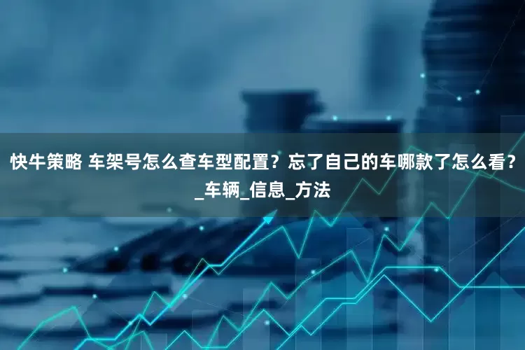 快牛策略 车架号怎么查车型配置？忘了自己的车哪款了怎么看？_车辆_信息_方法