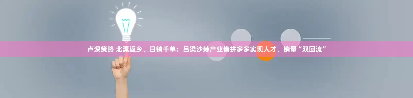 卢深策略 北漂返乡、日销千单：吕梁沙棘产业借拼多多实现人才、销量“双回流”
